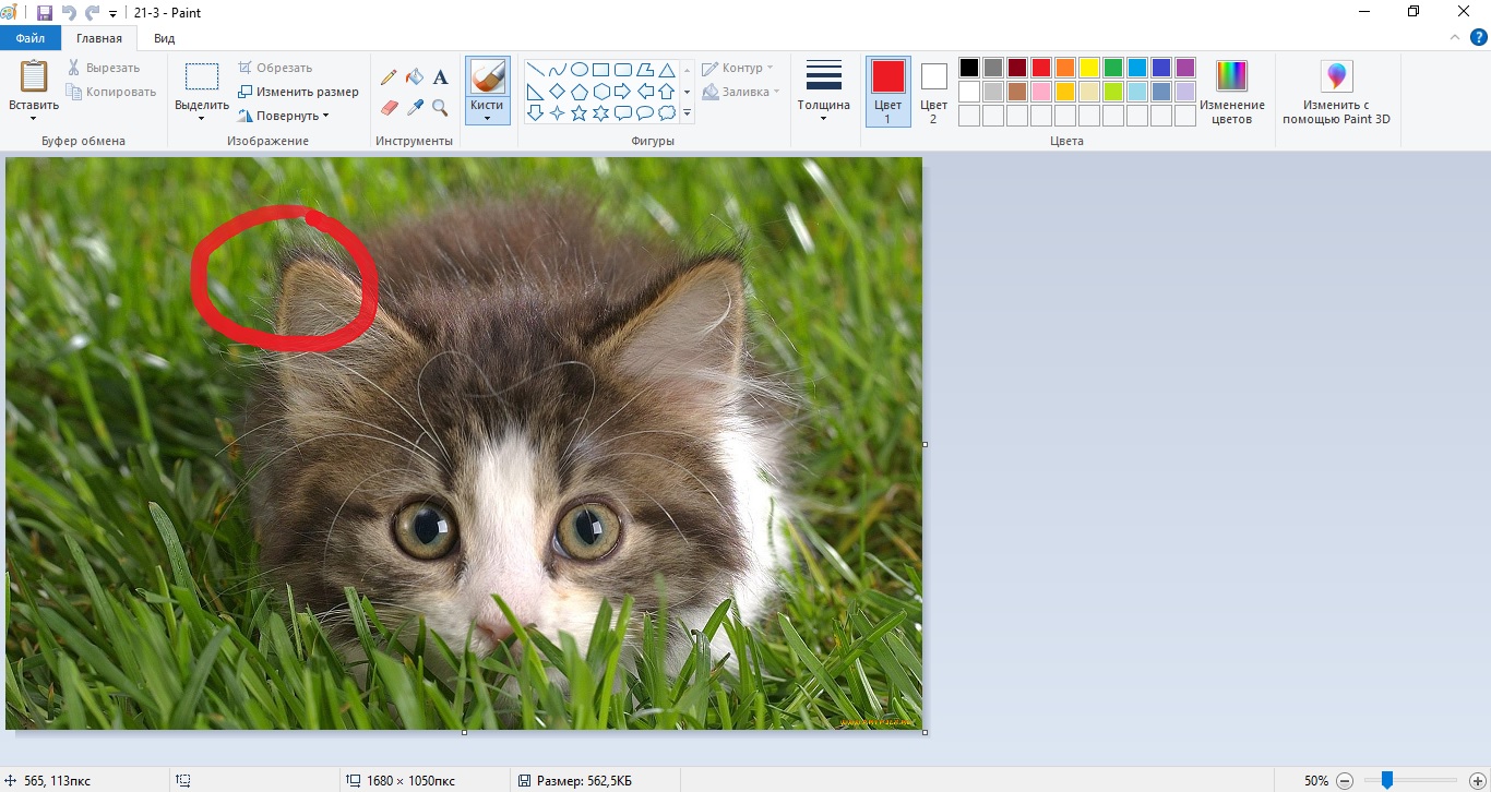 Выделение фрагмента